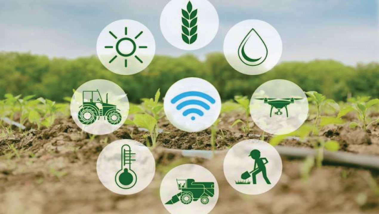 Tecnología, innovación, agricultura 4.0 , disruptivo.